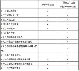 北京市外經(jīng)貿發(fā)展資金支持外貿企業(yè)提升國際化經(jīng)營能力實施方案解讀 網(wǎng)站開發(fā)與運營的關鍵作用